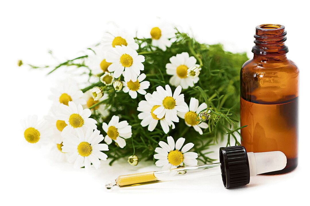 Vasaxal Ingredients - chamomile extract