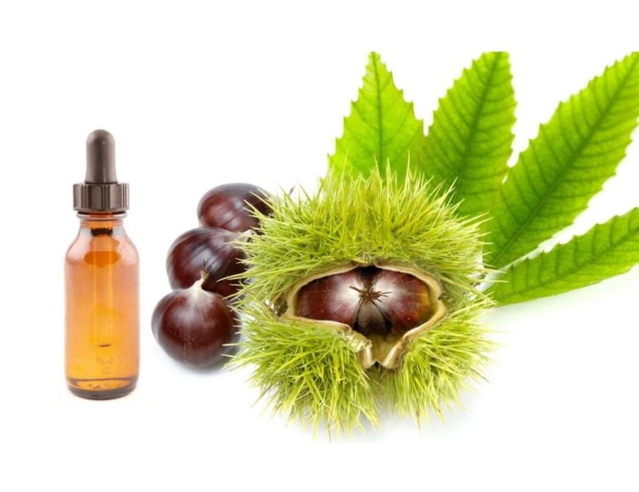 Vasaxal Ingredients - chestnut extract